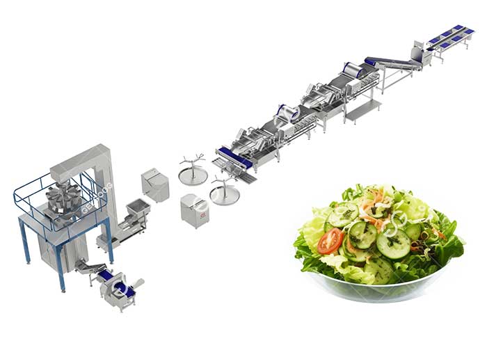 Fully Automated Vegetable Salad Processing Line.jpg